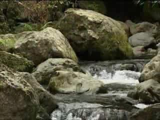 صور Tkhilnari waterfall شلال